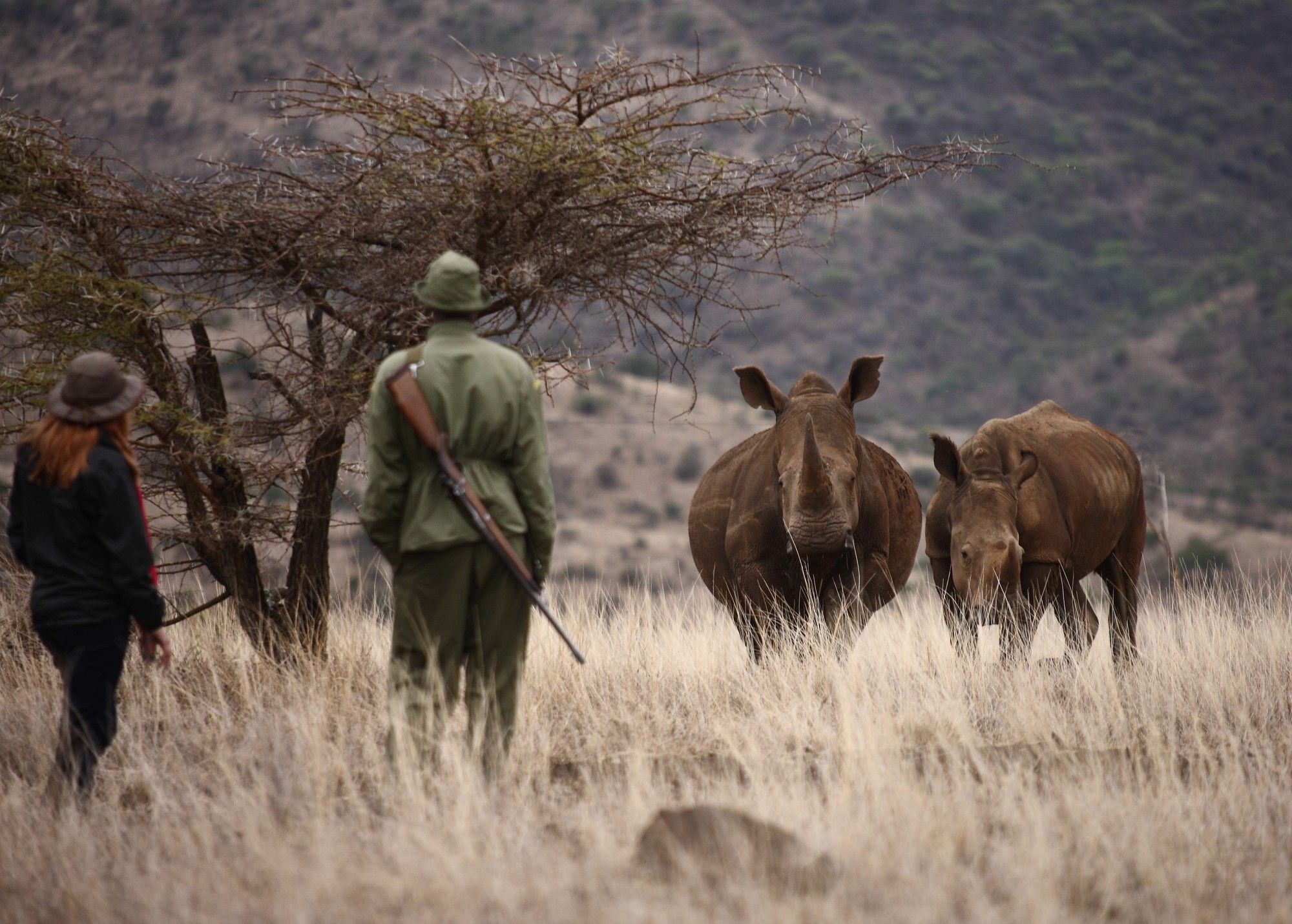 Hotel Elewana Lewa Safari Camp Timau Esterno foto