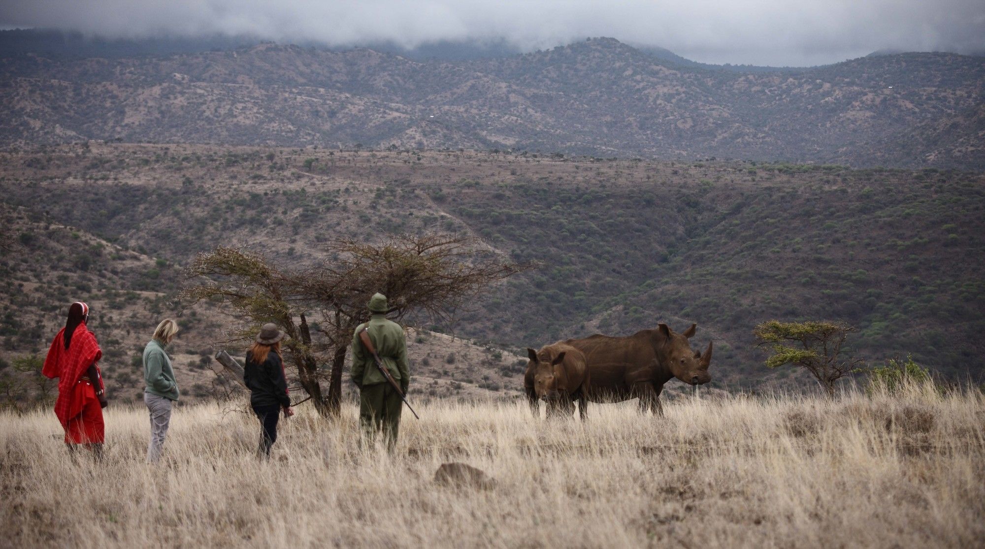 Hotel Elewana Lewa Safari Camp Timau Esterno foto
